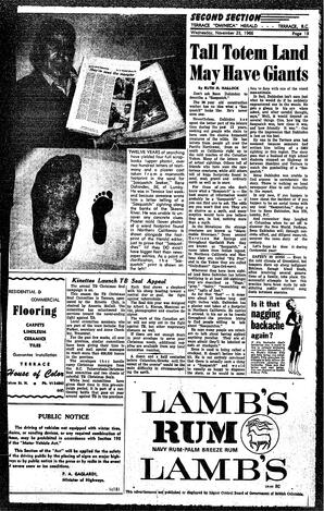 OMh-59-18-11231966.pdf-13