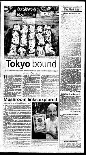 TSt-17-29-10272004.pdf-5