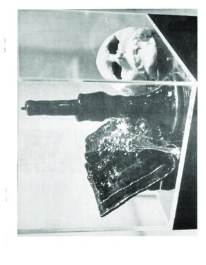 WesternPotter1970_20_0.pdf-19