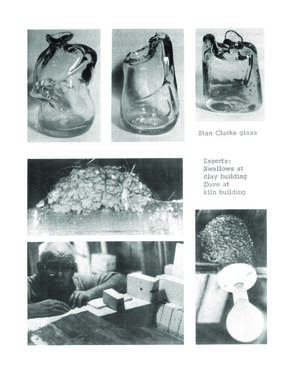 WesternPotter197123_0.pdf-14