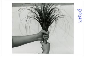 Ablekela Print 01