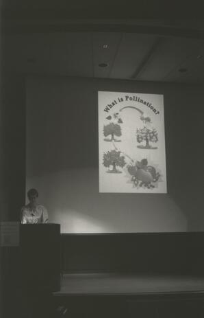 Margot Leigh Baker, 'Syntax errors: the honey's not far from the sting'