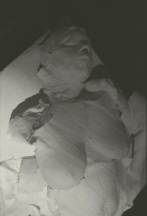 Josée Tremblay Same line Negative 37B