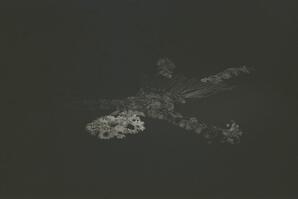 Hungry Ghosts Negative 25A