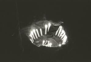 A Simple Truth Negative 16