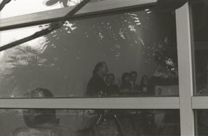 Collaboration Negative 39A