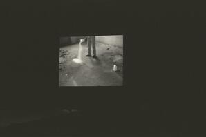 Intimate Investigations Negative 17A