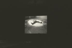 Intimate Investigations Negative 18A