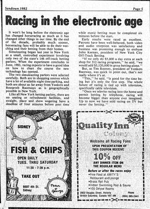 The Sidney Review Wed, May 19, 1982 (Page 29)