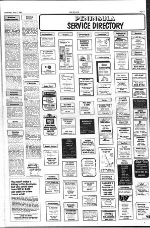 The Sidney Review Wed, June 17, 1981 (Page 17)