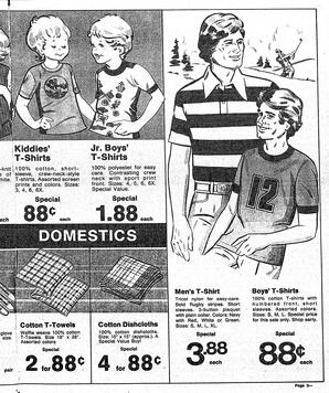 The Sidney Review Wed, July 27, 1977 (Page 13)