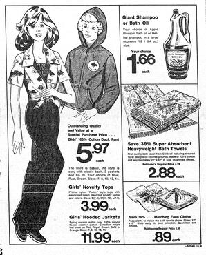 The Sidney Review Wed, March 16, 1977 (Page 13)