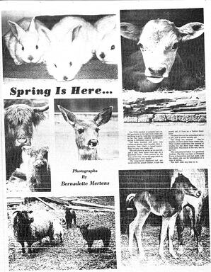 The Sidney Review Wed, February 20, 1974 (Page 13)