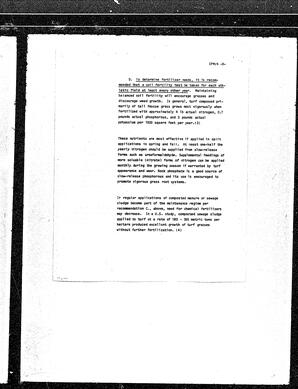 81