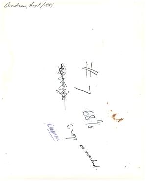   Untitled   , 2