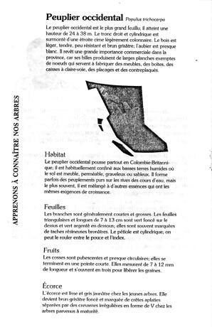   LE RÉVERBÈRE, 1993   , page 12