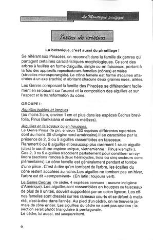   LE MOUSTIQUE PACIFIQUE, 2005   , page 6