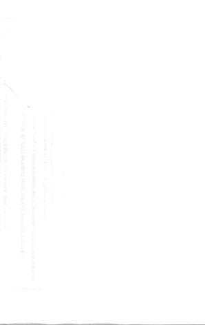   LE MOUSTIQUE PACIFIQUE, 2004   , page 31