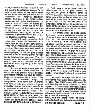  LE MOUSTIQUE PACIFIQUE, 2001   , page 11
