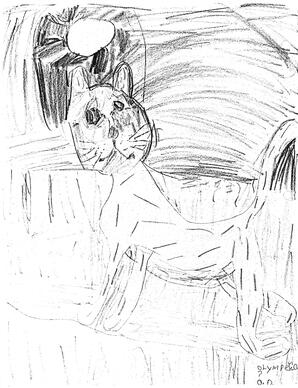   LE MOUSTIQUE PACIFIQUE, 1998   , page 14