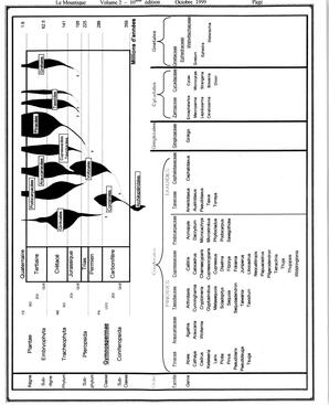   LE MOUSTIQUE PACIFIQUE, 1999   , page 17