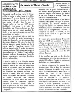   LE MOUSTIQUE PACIFIQUE, 1999   , page 11