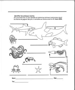   LE COIN DU PARC, 2005   , page 13