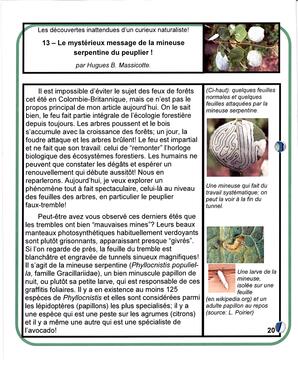   LE COIN DU PARC, 2017   , page 20