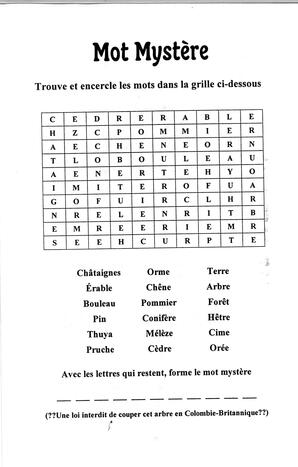   FESTIVAL DU BOIS, 1997   , page 5