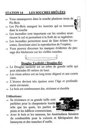   FESTIVAL DU BOIS, 1997   , page 8