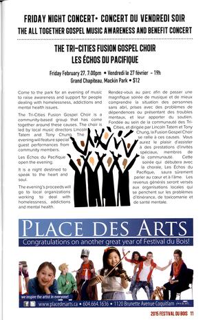   FESTIVAL DU BOIS, 2015   , page 11