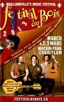 FESTIVAL DU BOIS, 2013