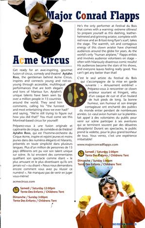   FESTIVAL DU BOIS, 2013   , page 21
