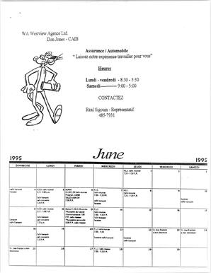   LE PETIT ACCUEIL, 1995   , page 8