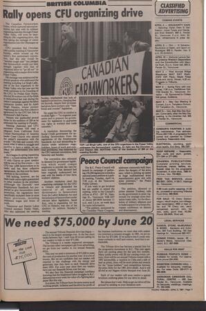   The Pacific Tribune - Friday, April 3, 1981   , page 11