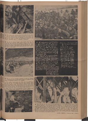   The Pacific Tribune - Friday, June 22, 1951   , page 8
