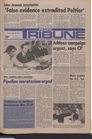   The Pacific Tribune - Friday, May 20, 1977   , page 1