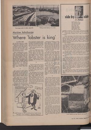   The Pacific Tribune - Friday, July 24, 1964   , page 8