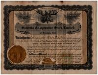 Amanda Wartiainen Certificate for Shares