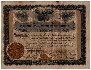Front side of Amanda Wartiainen Certificate for Shares