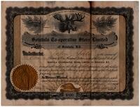 John Salo Certificate for Shares