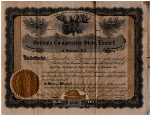 Front side of Sander Hayrynen Certificate for Shares