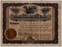 Alex Anderson Certificate for Shares