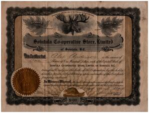 Front side of Alex Anderson Certificate for Shares