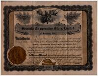 Rustaa Savola Certificate for Shares