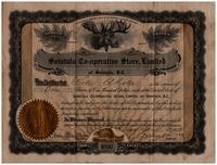 Willie Ahola Certificate for Shares