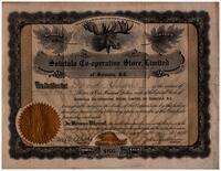 D. Siider Certificate for Shares