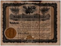 Herman Pouttu Certificate for Shares