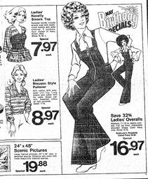 The Sidney Review Wed, May 18, 1977 (Page 17)