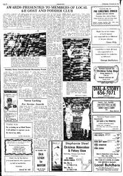 The Sidney Review Wed, November 24, 1976 (Page 10)